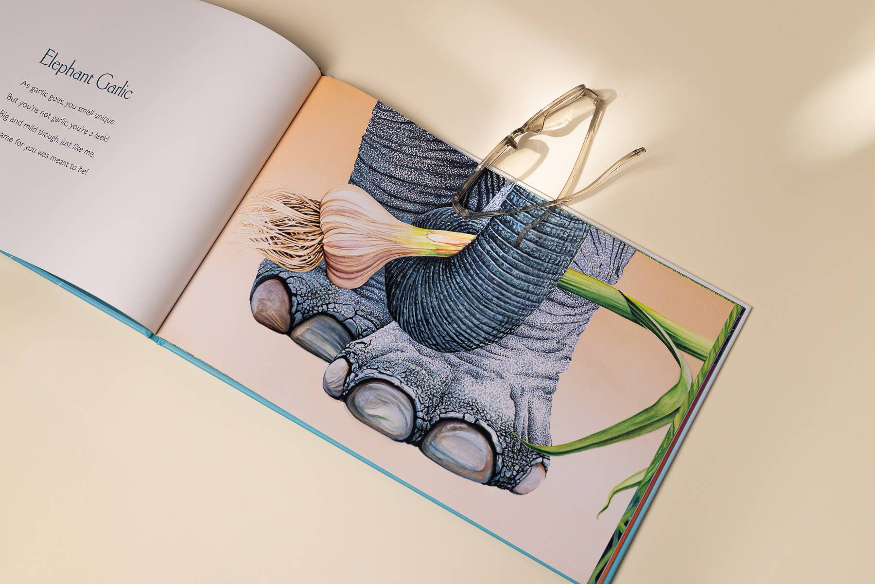 Paige Tate & Co. - Wholesale Baby & Toddler Book (0-2) - You Stole My Name Too (Picture Book for Kids)1