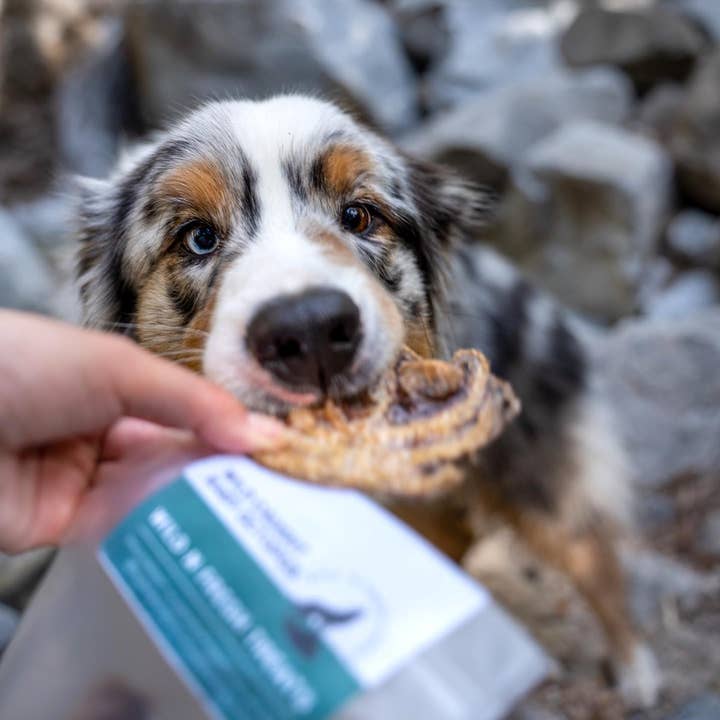 Wild n Fresh Treats - Wholesale Pet Treats - Dog - Dehydrated Wild Baby Octopus