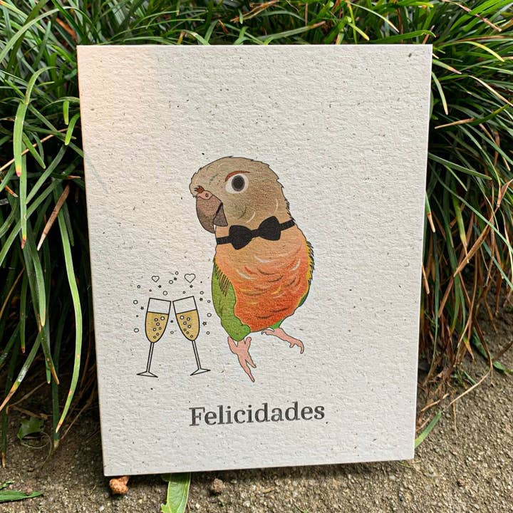 Felicidades - Pineapple Conure for wholesale by Hakuna Matata Vibes