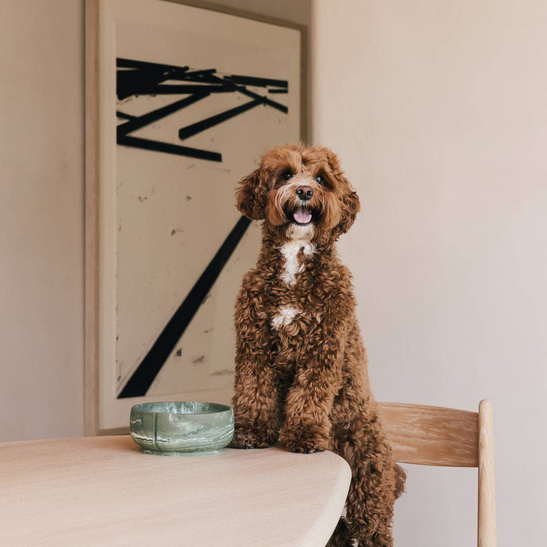 PINO – Engroshandel Kæledyrsskål – Hund – Klassisk skål55