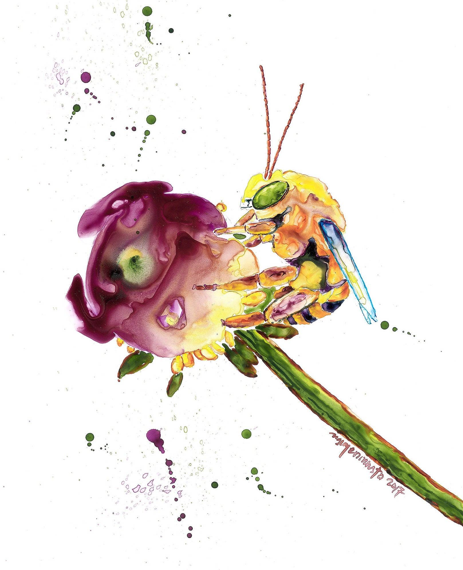 nguyen musto artworks - Wholesale Art Print - Print - Bee Dreams1