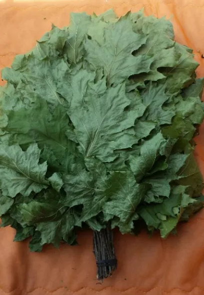 SUNROZ – wholesale Kroppsmassage – 4-pack ukrainska bastukvastar för massage och SPA15