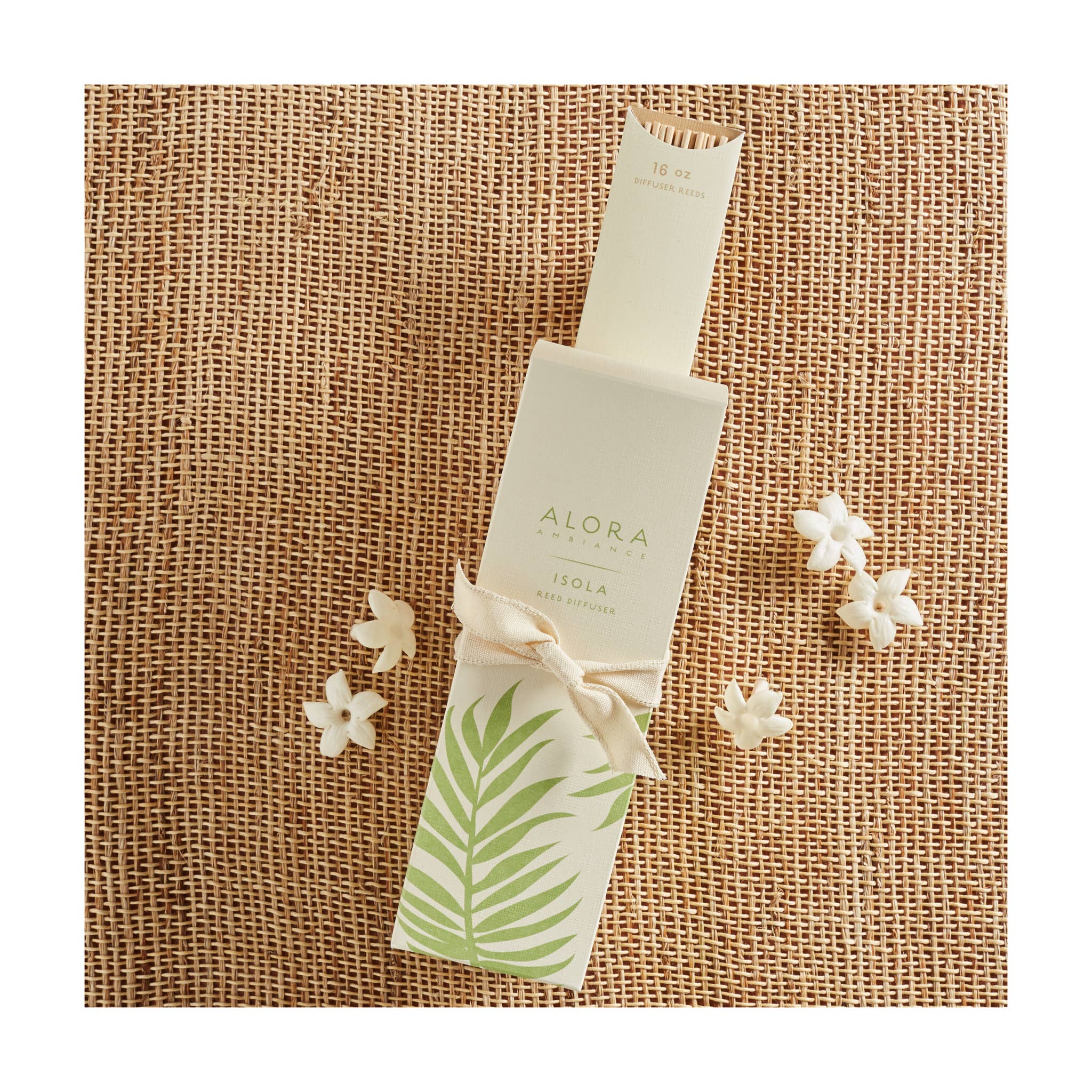 Alora Ambiance - Wholesale Reed Diffuser - 8 oz Isola Reed Diffuser2