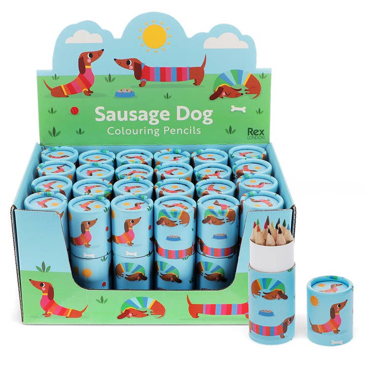 Tube of colouring pencils - Sunny Sausage Dog for wholesale by Rex B2B - Europe