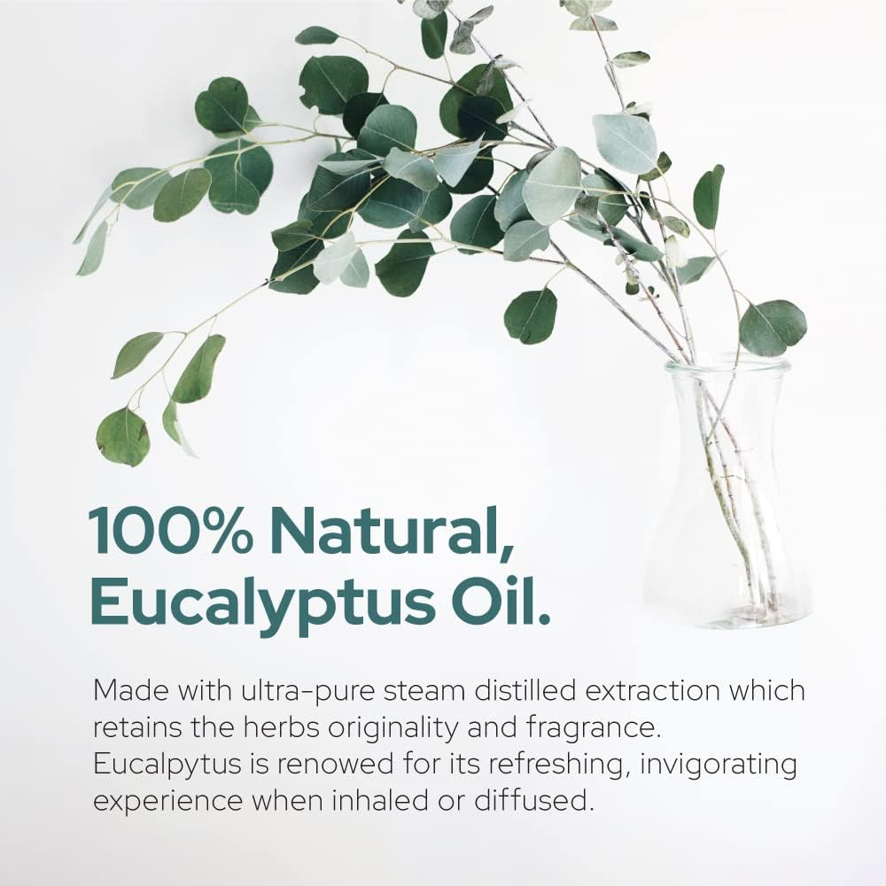 Plant of Life - Wholesale Essential Oil - Eucalyptus Essential Oil | Therapeutic Grade | Multi Sizes5