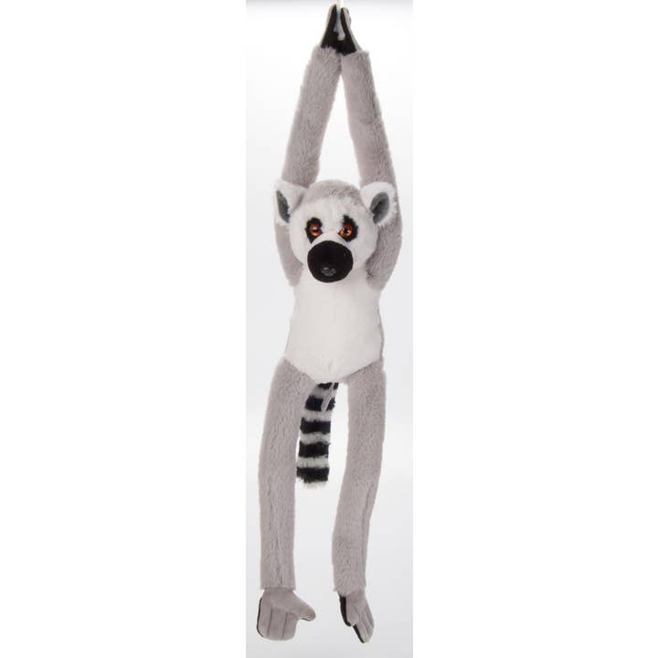 20" (50cm) Hængende Lemur for engroshandel hos The Petting Zoo