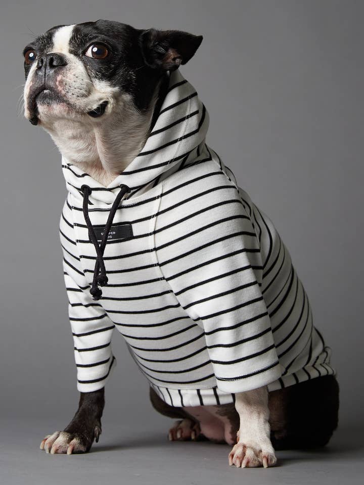 QUEENS Gestreifter Hoodie für den Großhandel von The Striped Dog