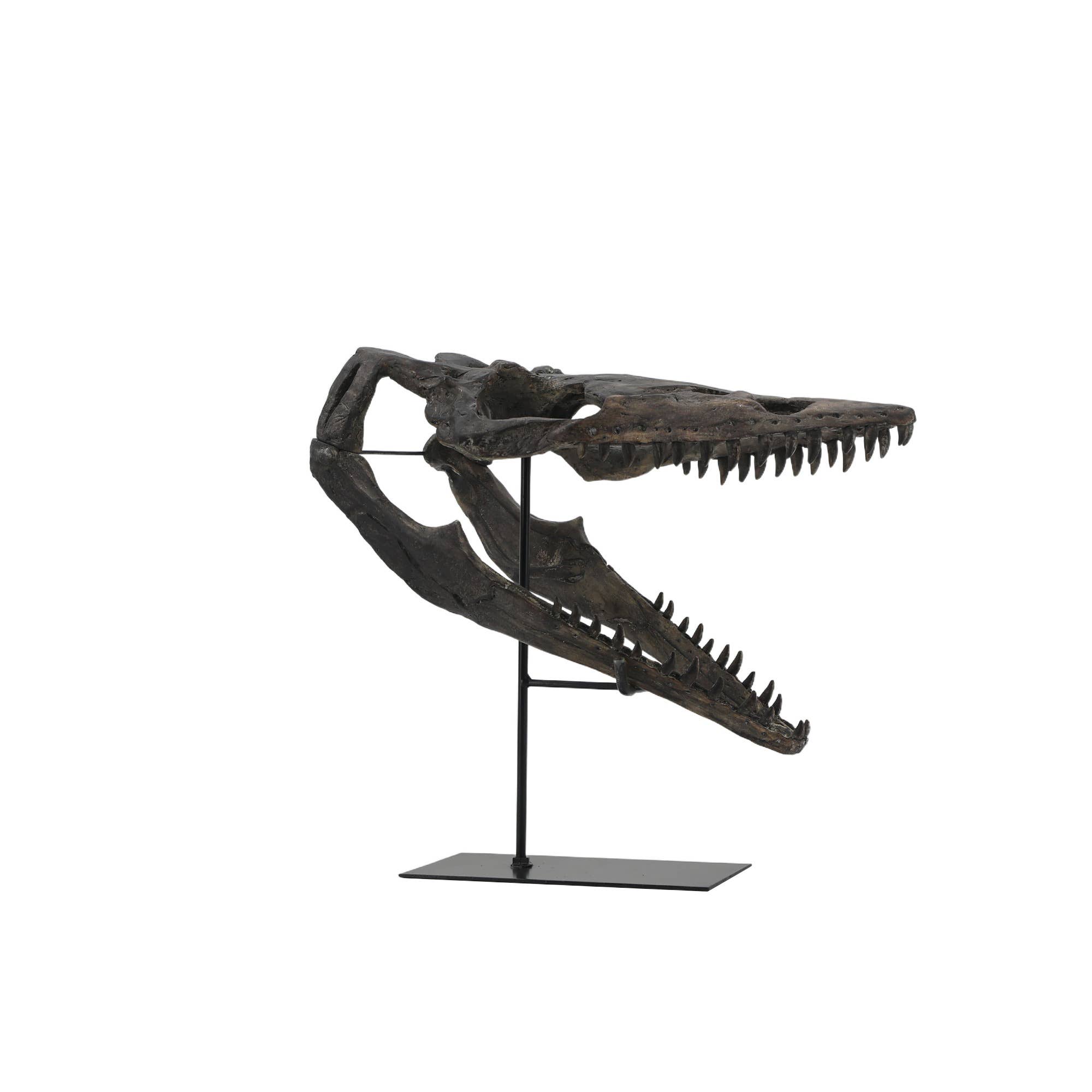 Modern World by Contrast Inc. - Wholesale Decorative Tabletop Object - Plioplatecarpus Dinosaur Skull1