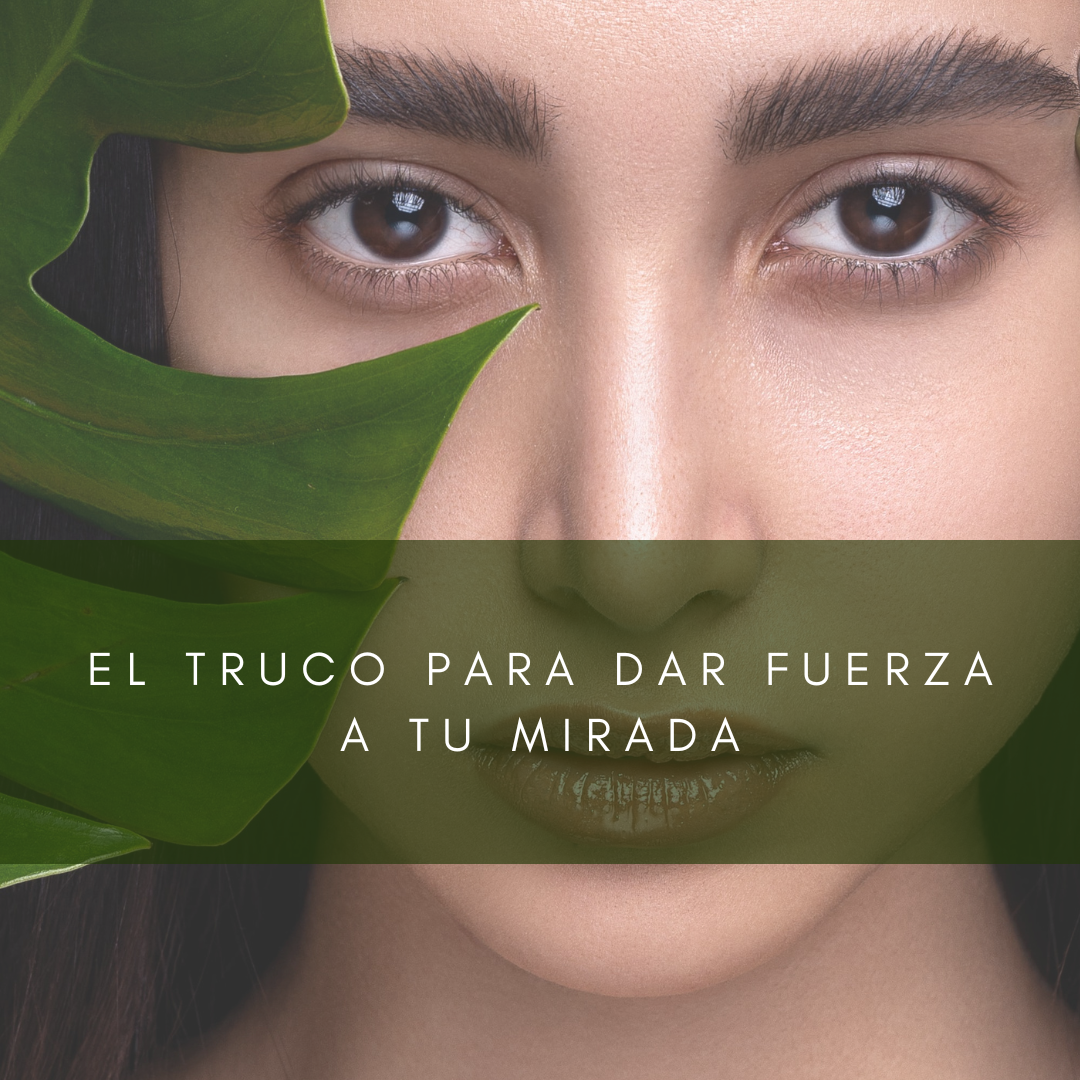 sesioMWorld - M·O·I Professional - Wholesale Eyelash/Brow Serum - Perfect Defining Fixing Gel for your eyebrows 3.3 g. MOI1