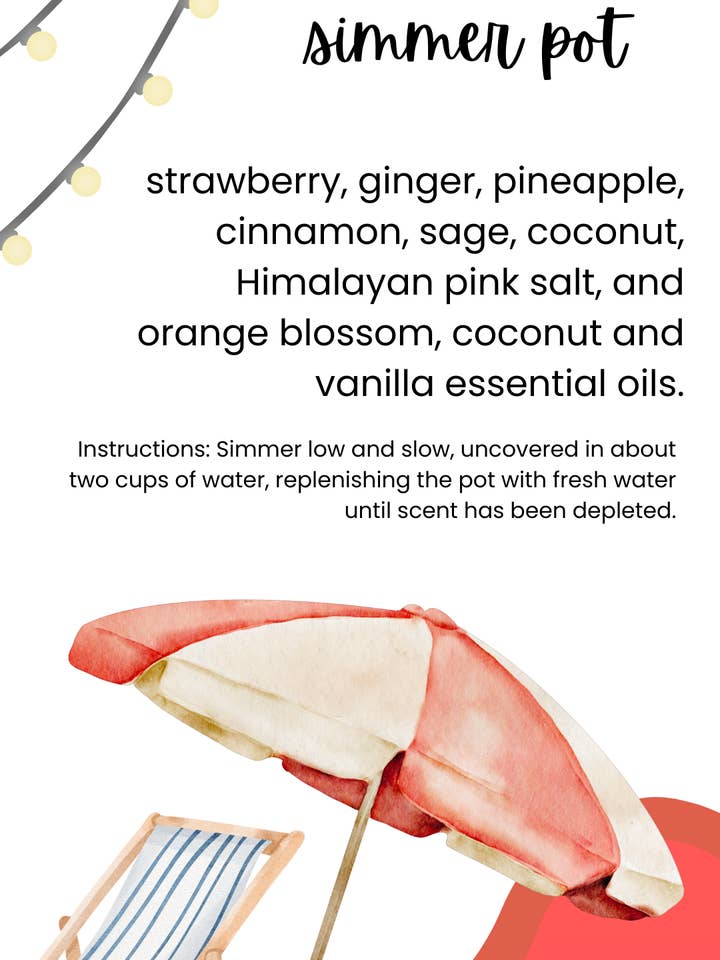 Beach Vacay Simmer Pot (Potpourri, Home Fragrance) for wholesale by Bruno’s Bowl