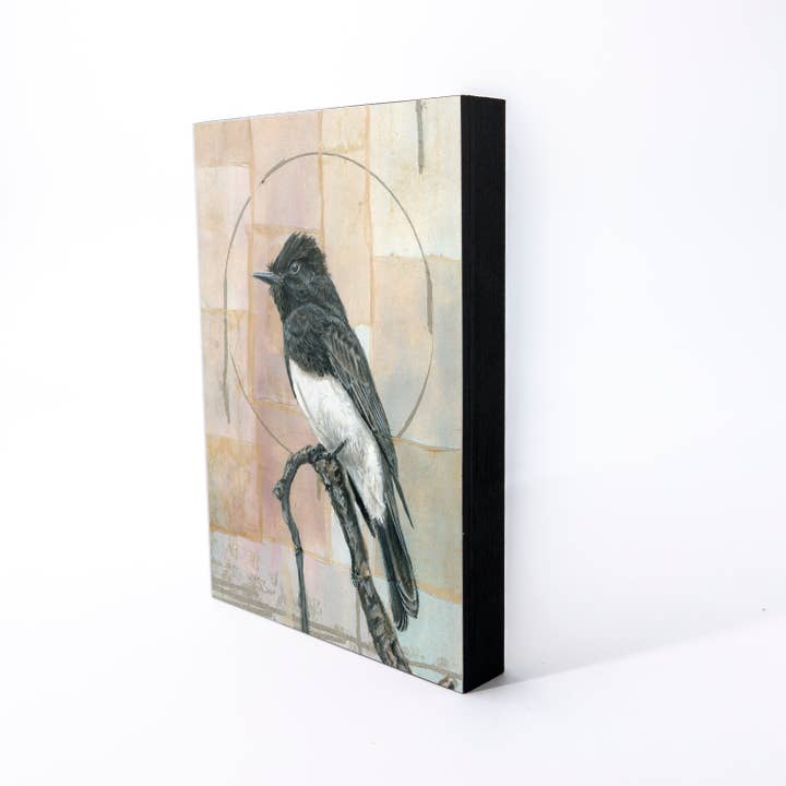 Black Phoebe Wood Panel Giclée Print for wholesale by Orphan Girl Fine Art