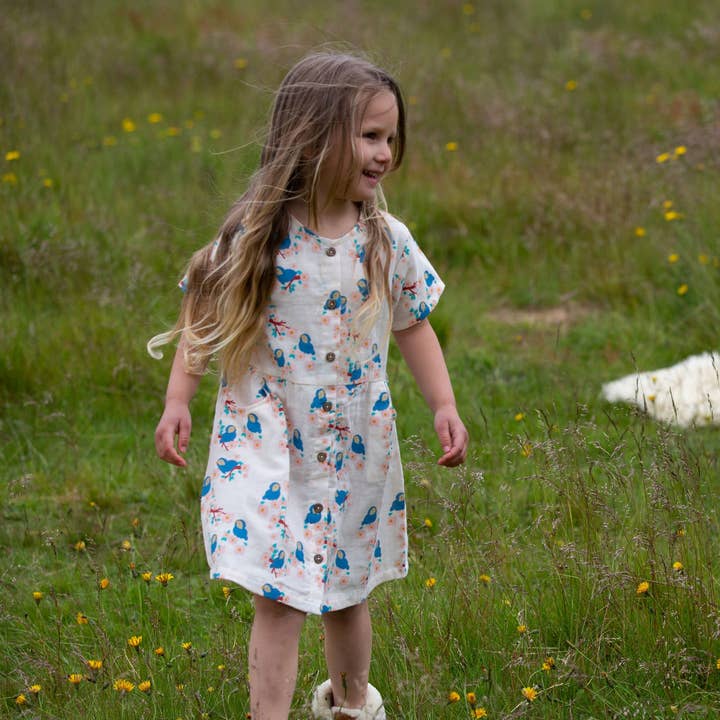 Bluebirds Button Through Short Sleeve Dress for wholesale by Little Green Radicals