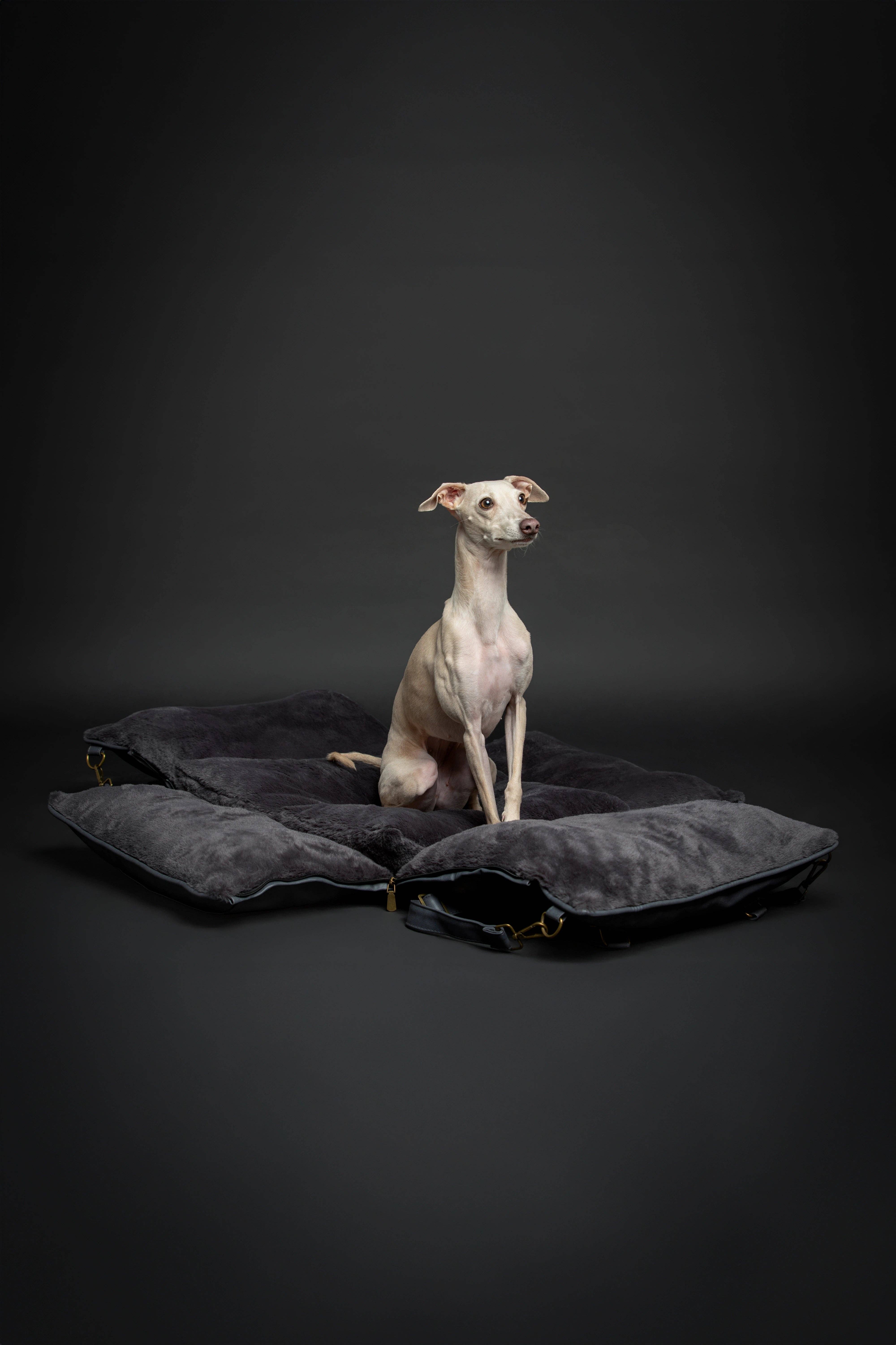 NOAH AND PAW LLC – wholesale Pet carrier – Cat/dog – Dog Car Seat Carrier Orthopedic Crushed Foam, Black, Vegan Leather6