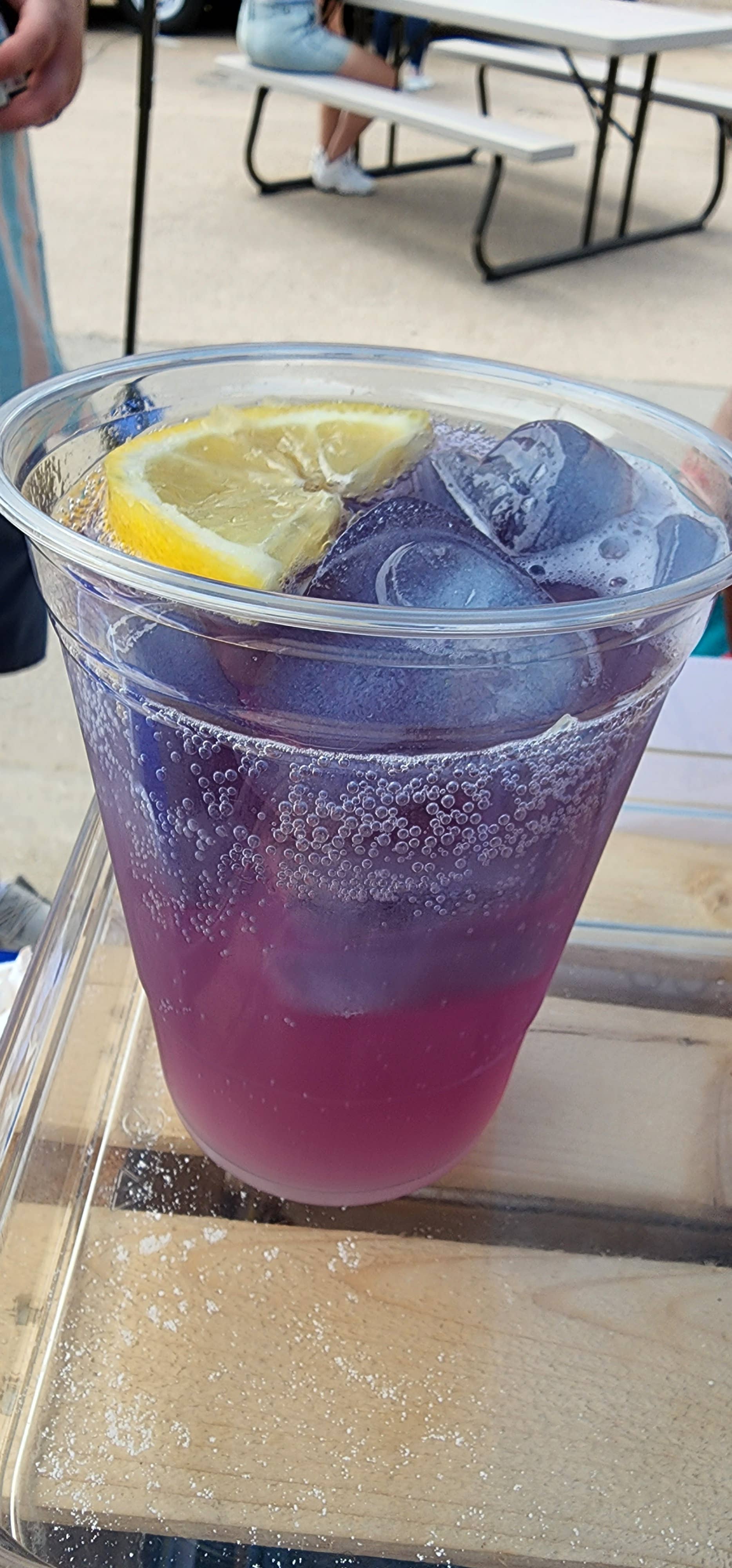 Tea n' More - Wholesale Tea Bags - Magic Blue Butterfly Tea - Cold Brew Tea6