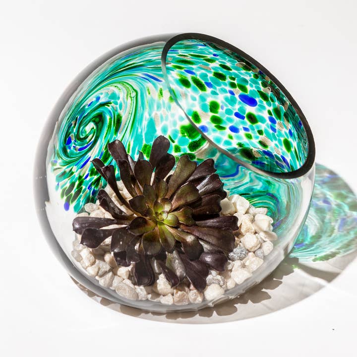 Terrarium en verre soufflé à la main 7" pour la vente par ApricotMint
