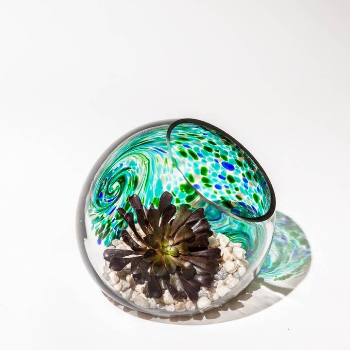ApricotMint - Wholesale Terrarium - 7" Hand Blown Art Glass Terrarium