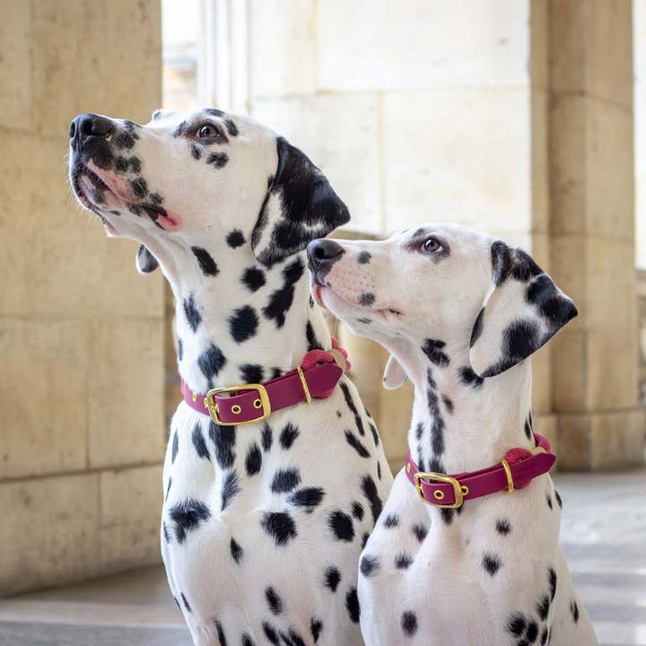 Atelier Markiz – Engroshandel Halsbånd - Hund – Sangria Halskæde1