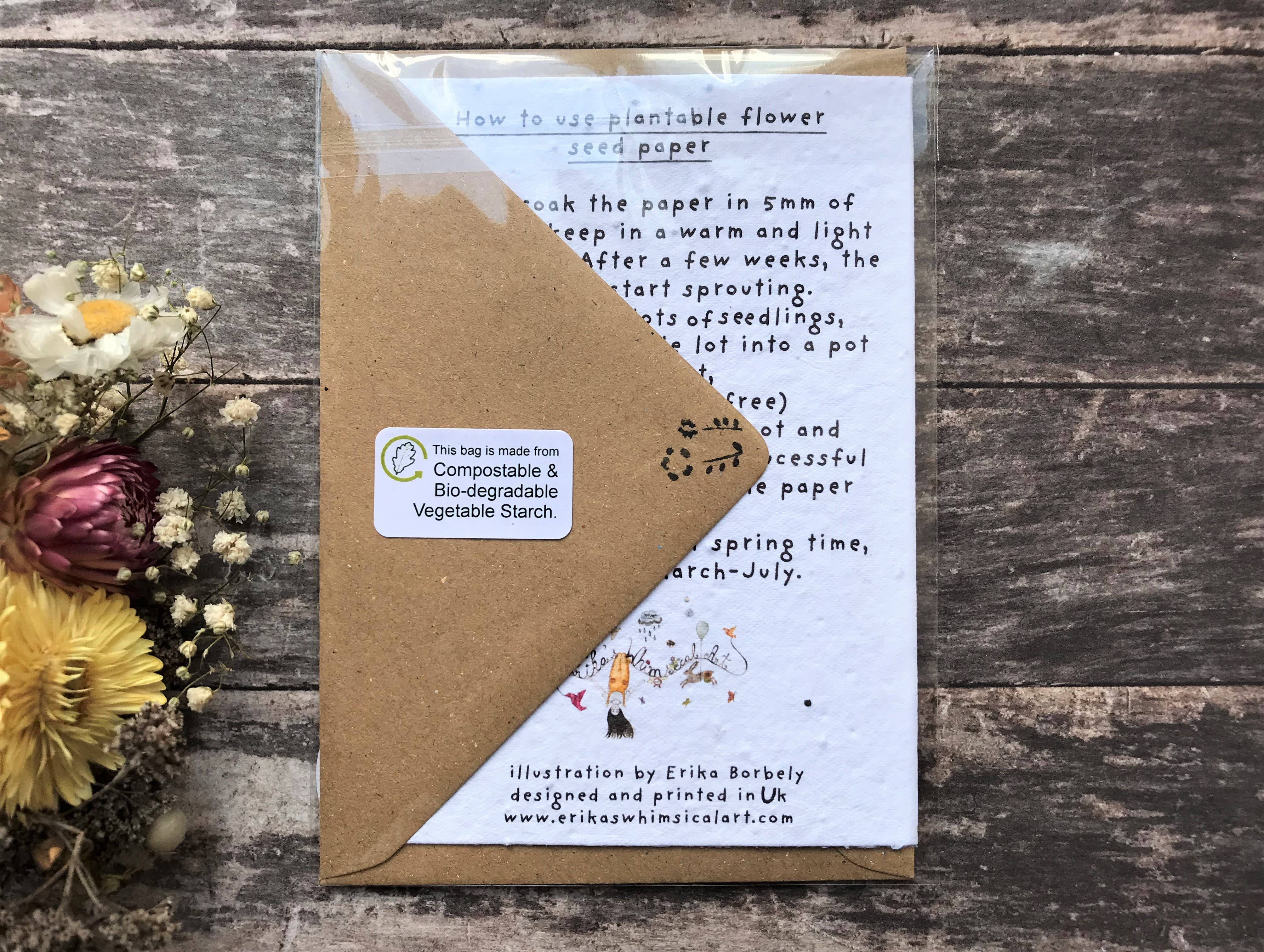 Erika's Whimsical Art – wholesale Birthday card – Plantable Seed Paper Birthday Card, Blank Inside8