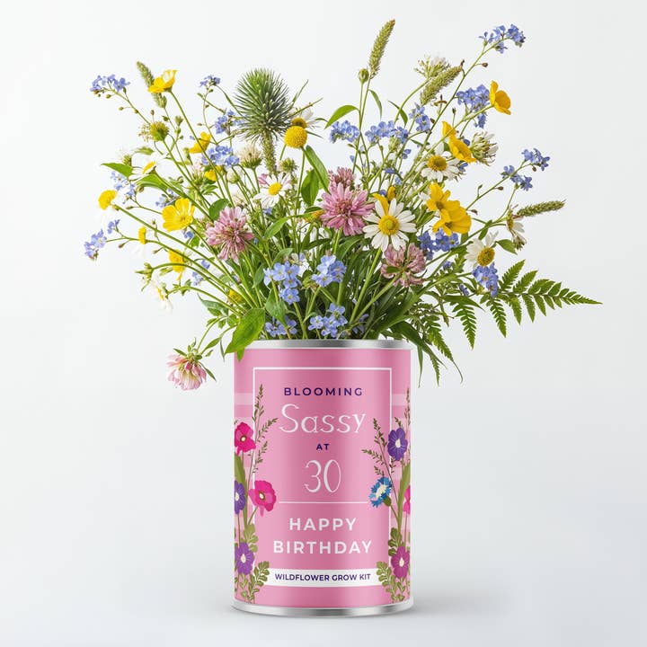 Alphabet Gifts – wholesale Plant seeds – Blooming Sassy at 30 – Milestone Birthday Flower Grow Kit