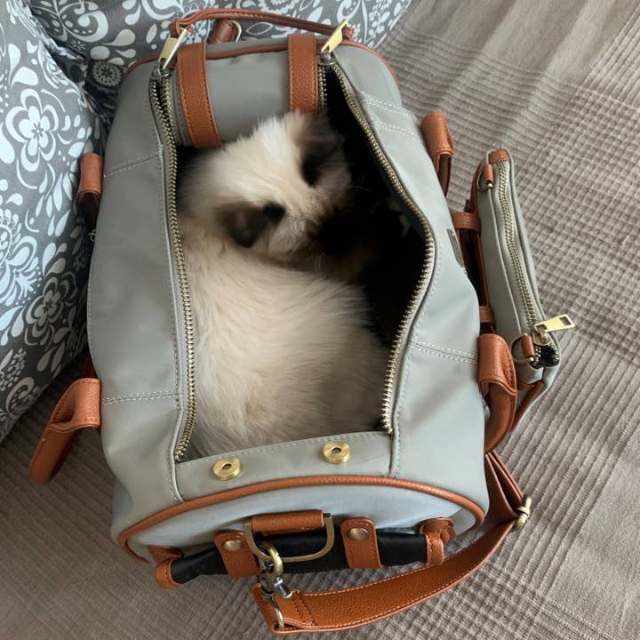 MERÏKH bags & accessories ©™ - Vente Caisse de transport – chat et chien - Sac de transport pour animaux approuvé en avion S - Beige11