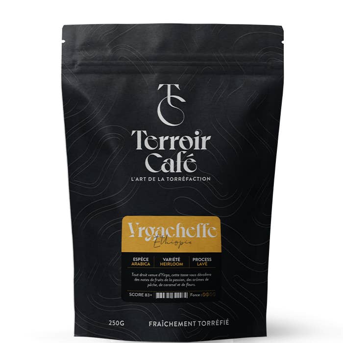 Terroir Café - Wholesale Coffee Beans - Ethiopian coffee - Yrgacheffe