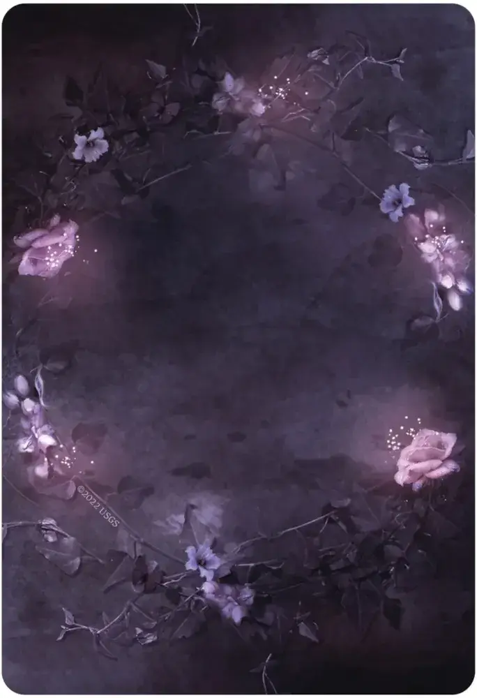 U.S. Games Systems Inc. - Wholesale Tarot Cards - Dark Light Oracle8