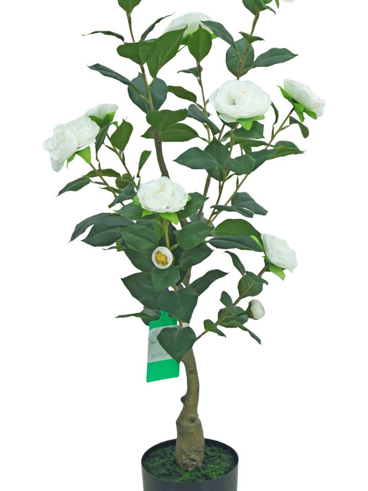 CAMELLIA TREE W/POT, 35.43", WHITE for wholesale by Select Artificials, Inc.