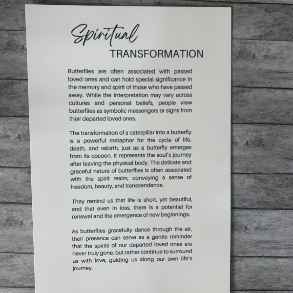 Plums & Roses - Vendita all'ingrosso Decorazione - Ornamento a forma di farfalla con trasformazione spirituale1