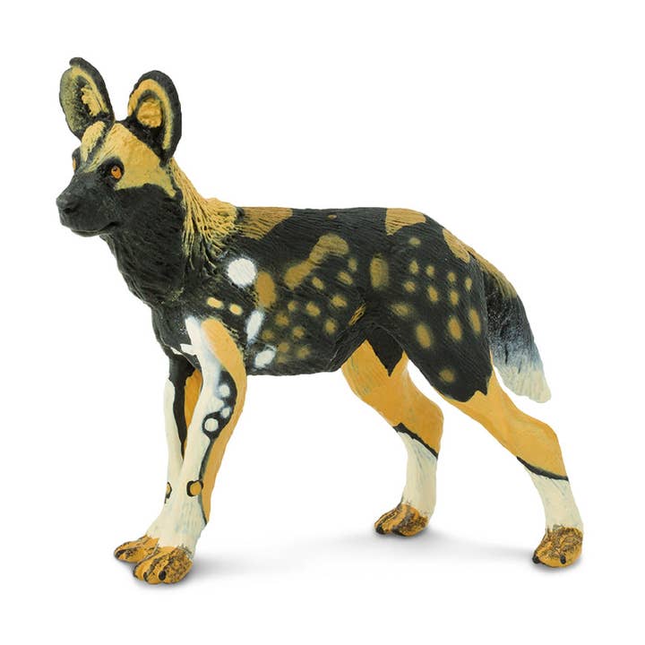 African Wild Dog - 239729 for wholesale by Safari Ltd.