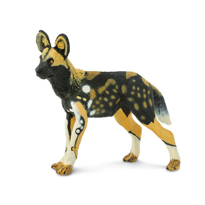 Safari Ltd. - Wholesale Figurine Toy - Kids - African Wild Dog - 239729