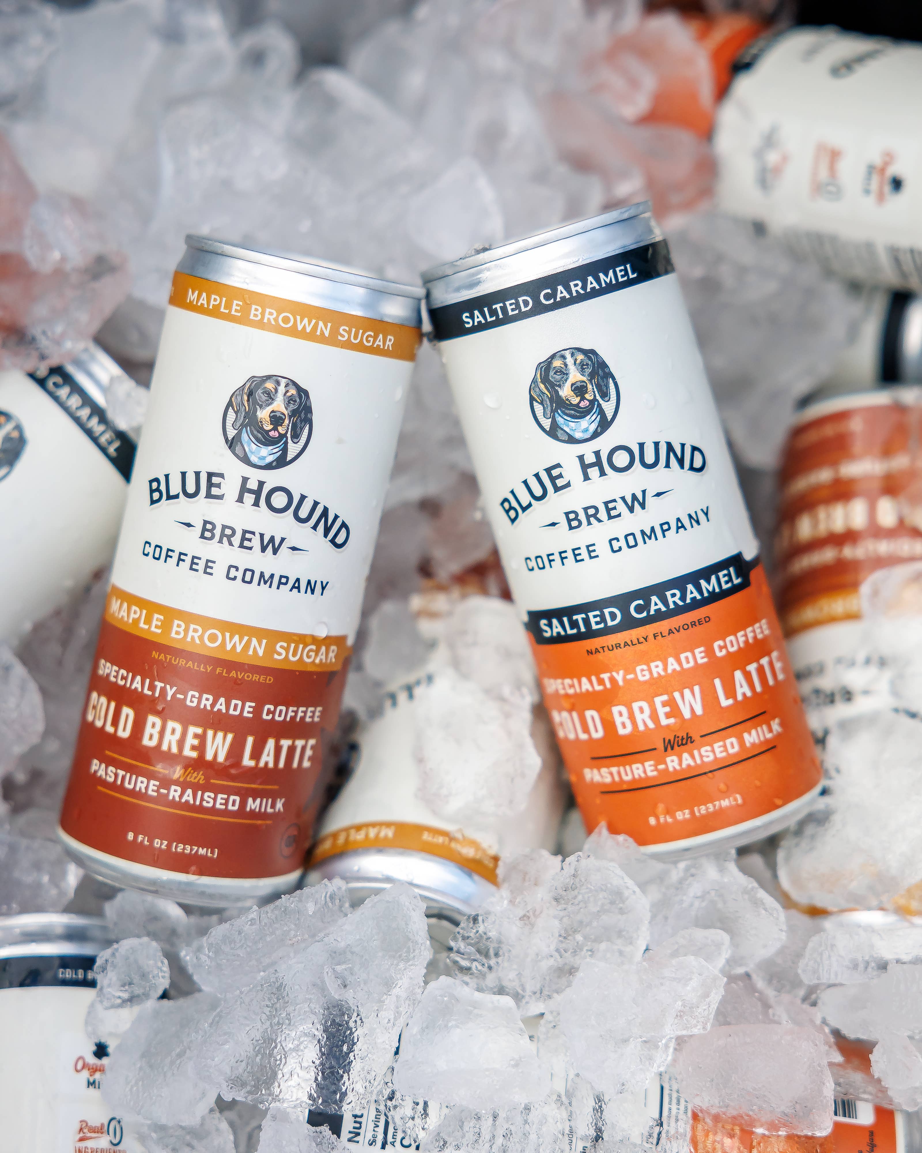 Blue Hound Brew – Café gelado/Cerveja fria por atacado – Latte de Café Gelado com Açúcar Mascavado e Maple4
