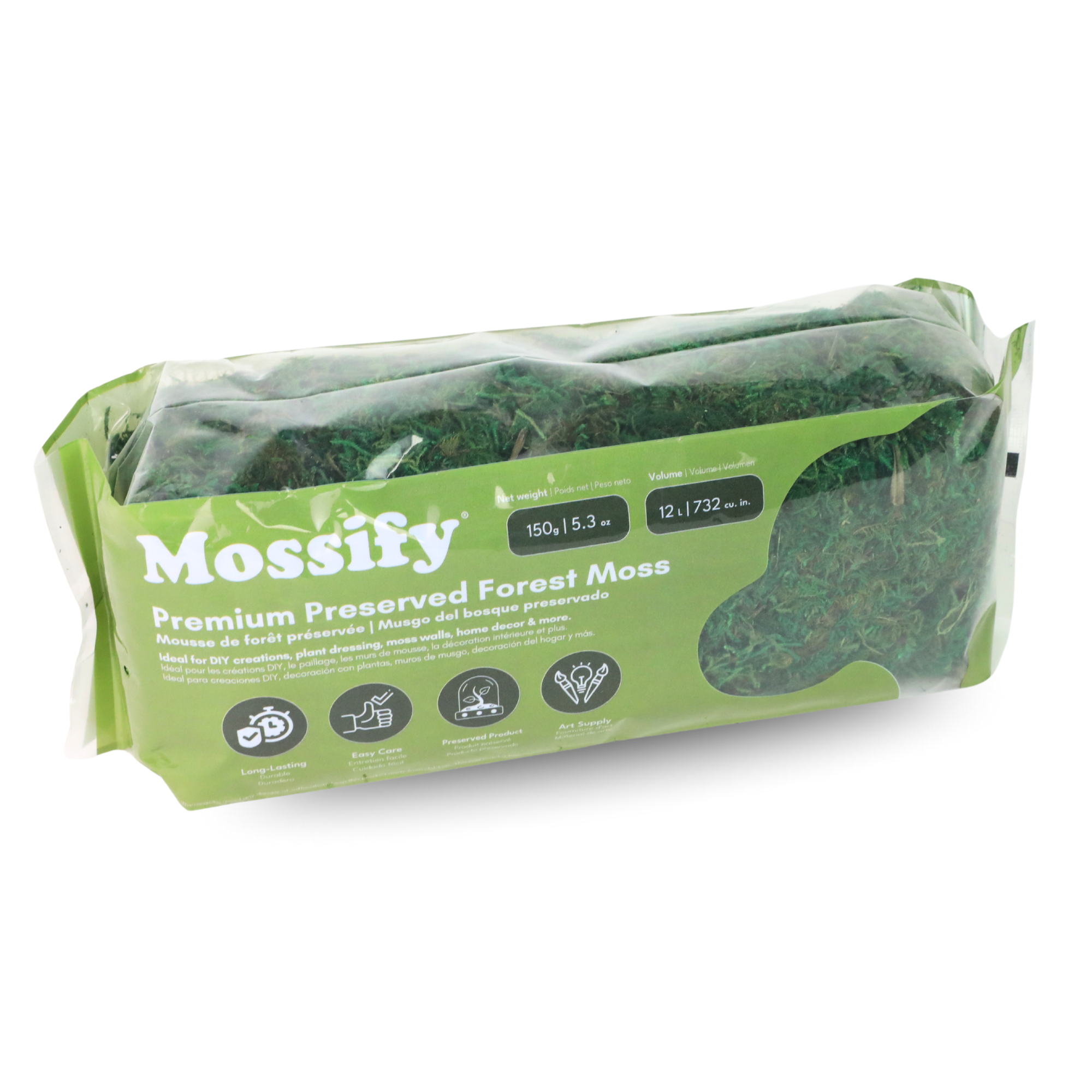 Mossify - Wholesale Live Plant - Premium Preserved Forest Moss – Décor & Design Material6