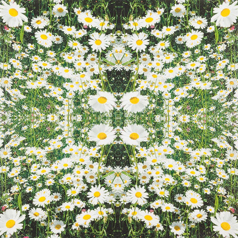 Home Fashion - Carl Dietrich GmbH - Wholesale Disposable Napkin - Margaret lunch napkins1