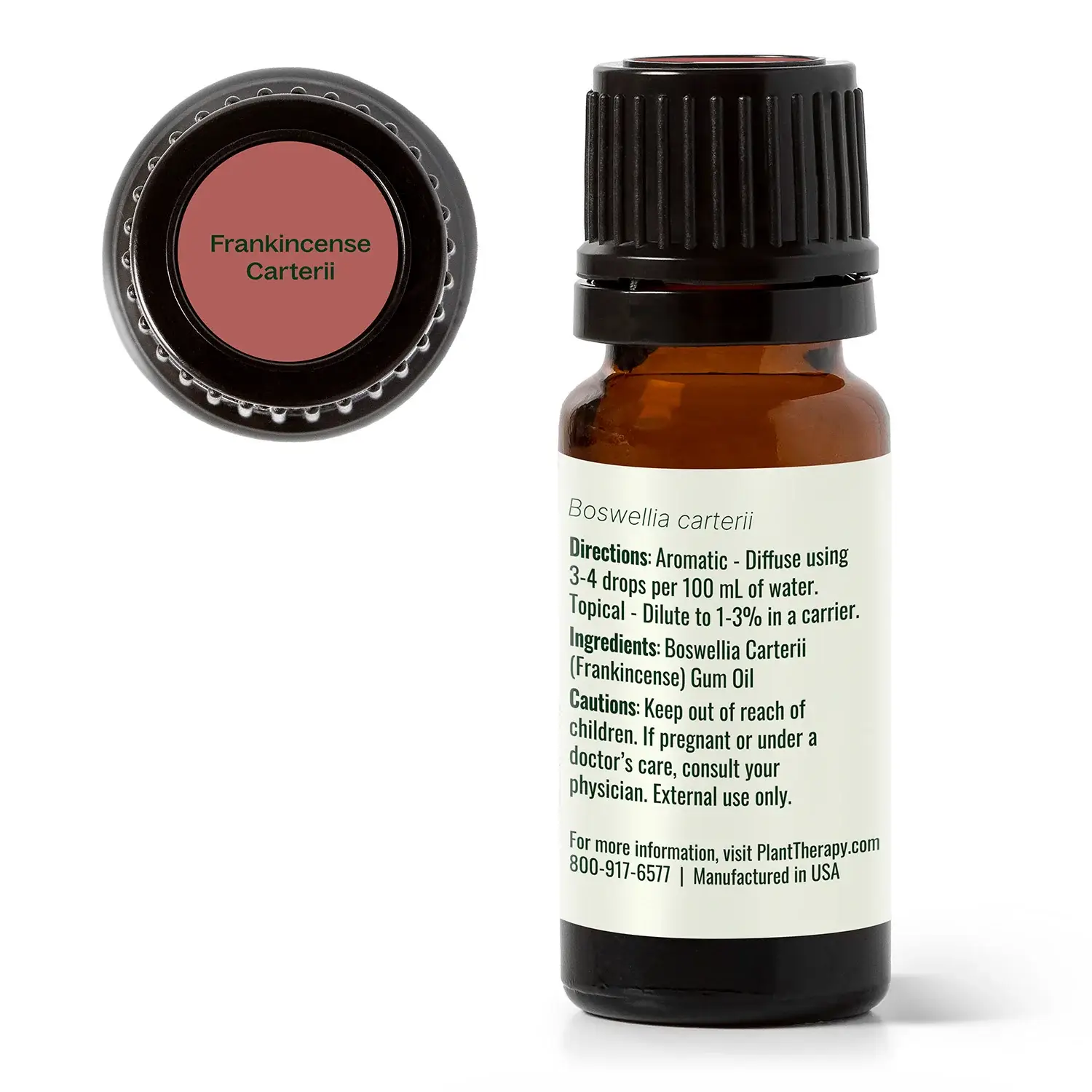 Plant Therapy - Wholesale Essential Oil - Frankincense Carterii Essential Oil 10 mL1
