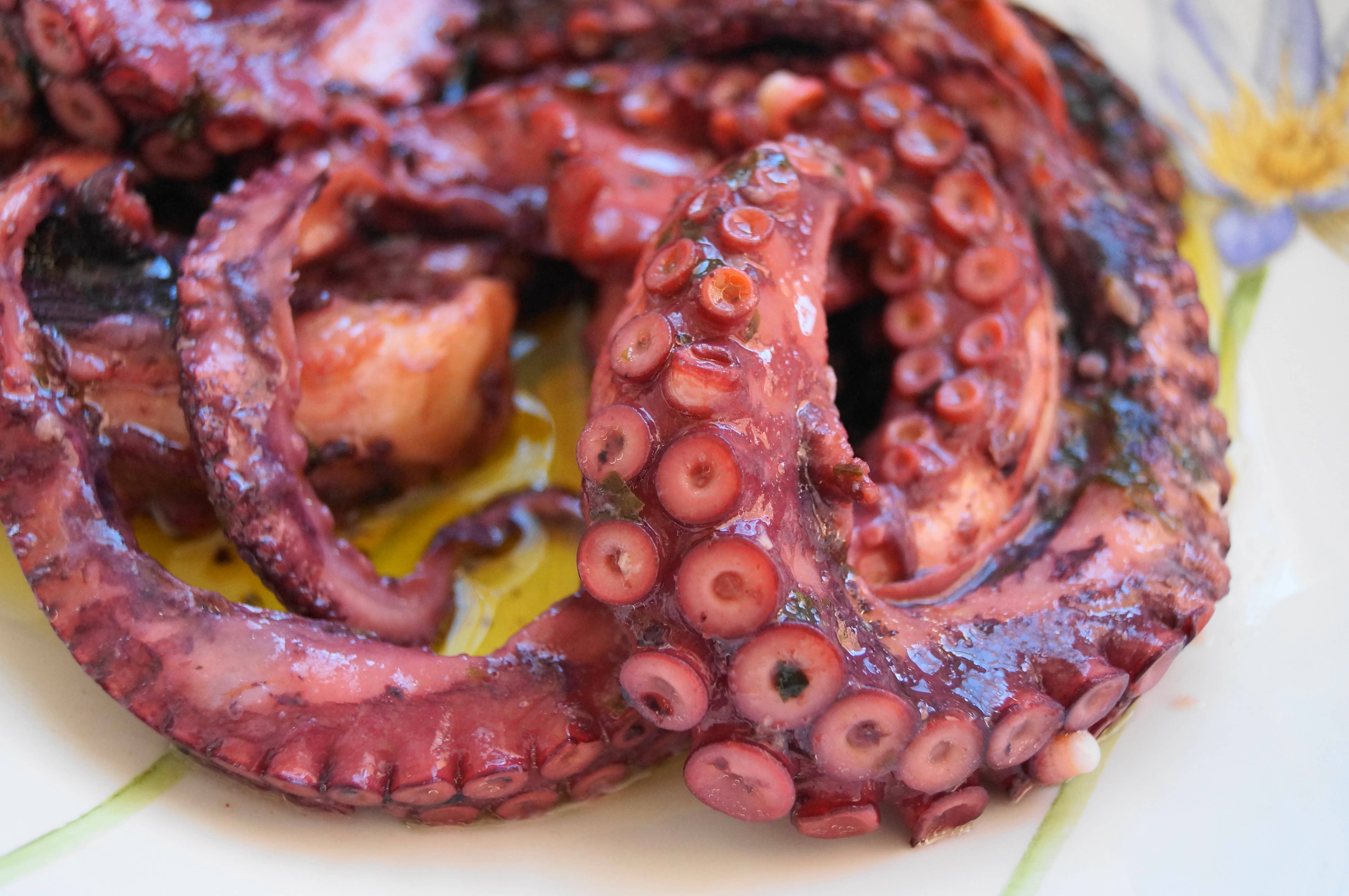 CONSERVAS LA RECETA – Großhandel Fisch/Meeresfrüchte – Oktopus nach dem Rezept in nativem Olivenöl extra, 550 g3
