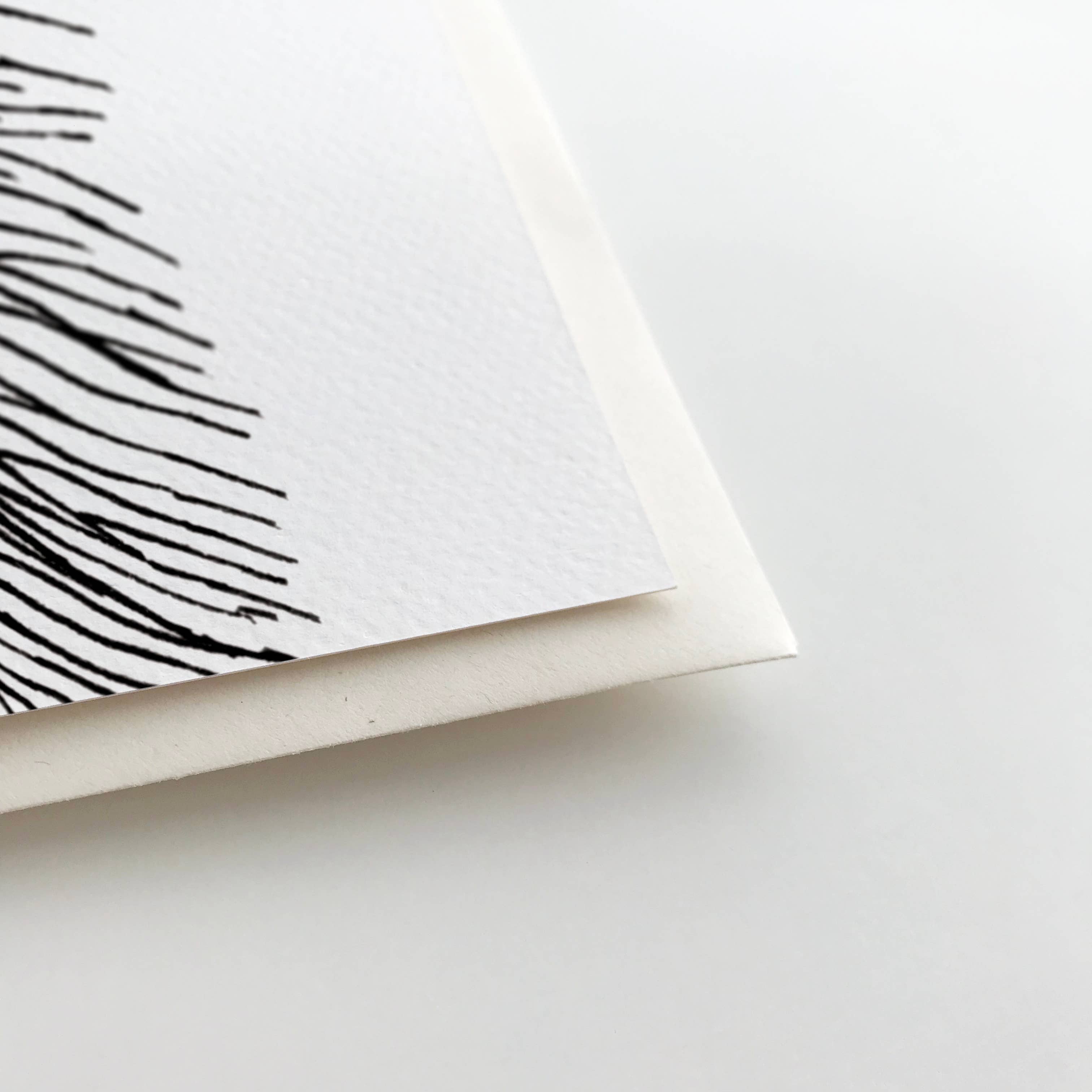 Oliver Stockley - Wholesale Graduation Card - Graduation Raccoon Card4