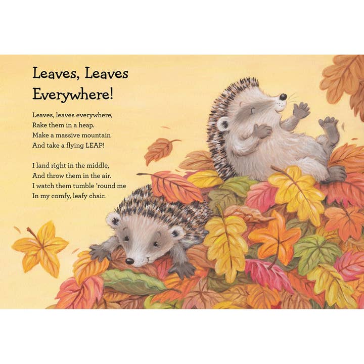 HarperCollins Christian Publishing - Wholesale Baby & Toddler Book (0-2) - Snuggle Time Fall Blessings 2