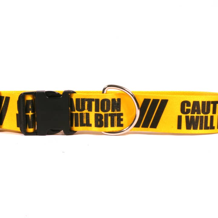 Caution - I Will Bite Dog Collar for wholesale by Yellow Dog Design