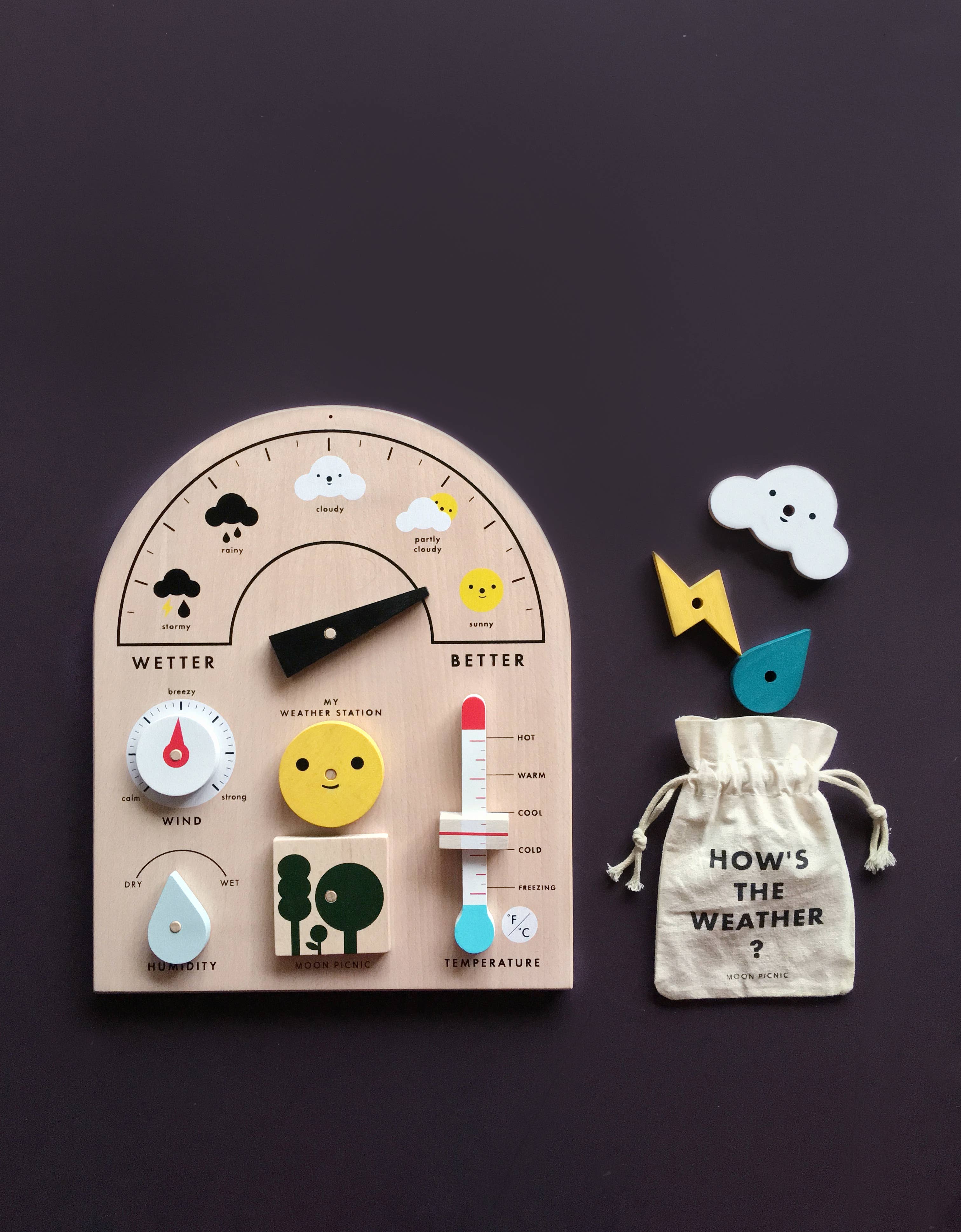 Moon Picnic - Wholesale Wood Toy - Kids - My Weather Station4