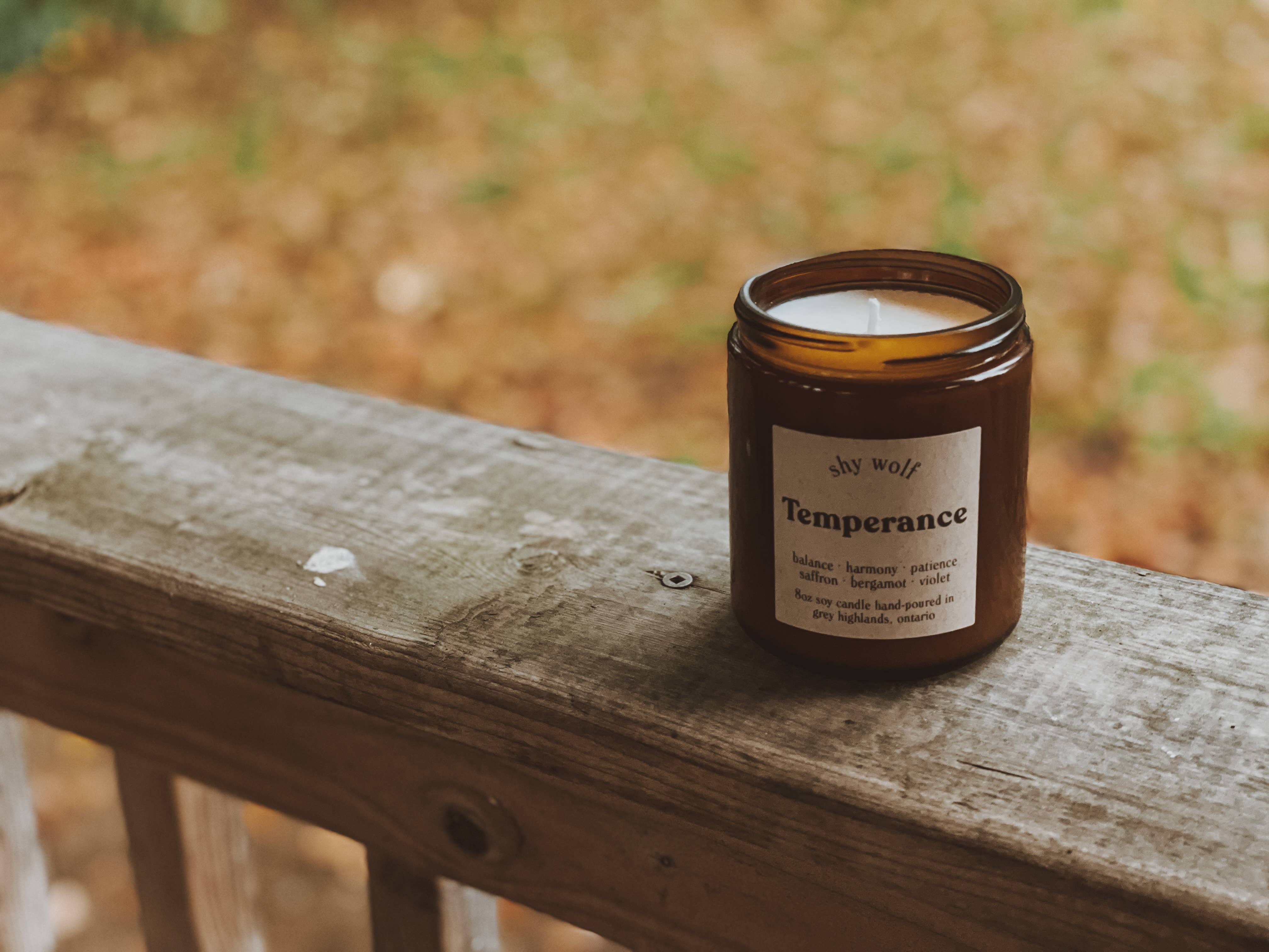 Shy Wolf Candles – wholesale Jar/filled candle – Temperance Tarot Candle - Bergamot, Saffron, Violet1