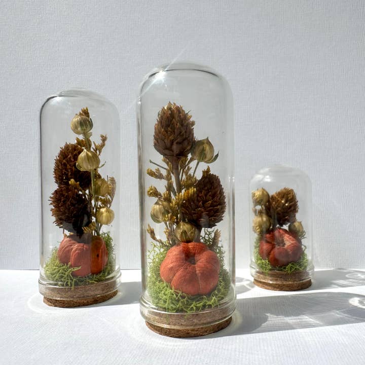 CA Studios - Wholesale Terrarium - Orange Pumpkin Mix Mini Terrarium Potion Jar w Dried Florals8