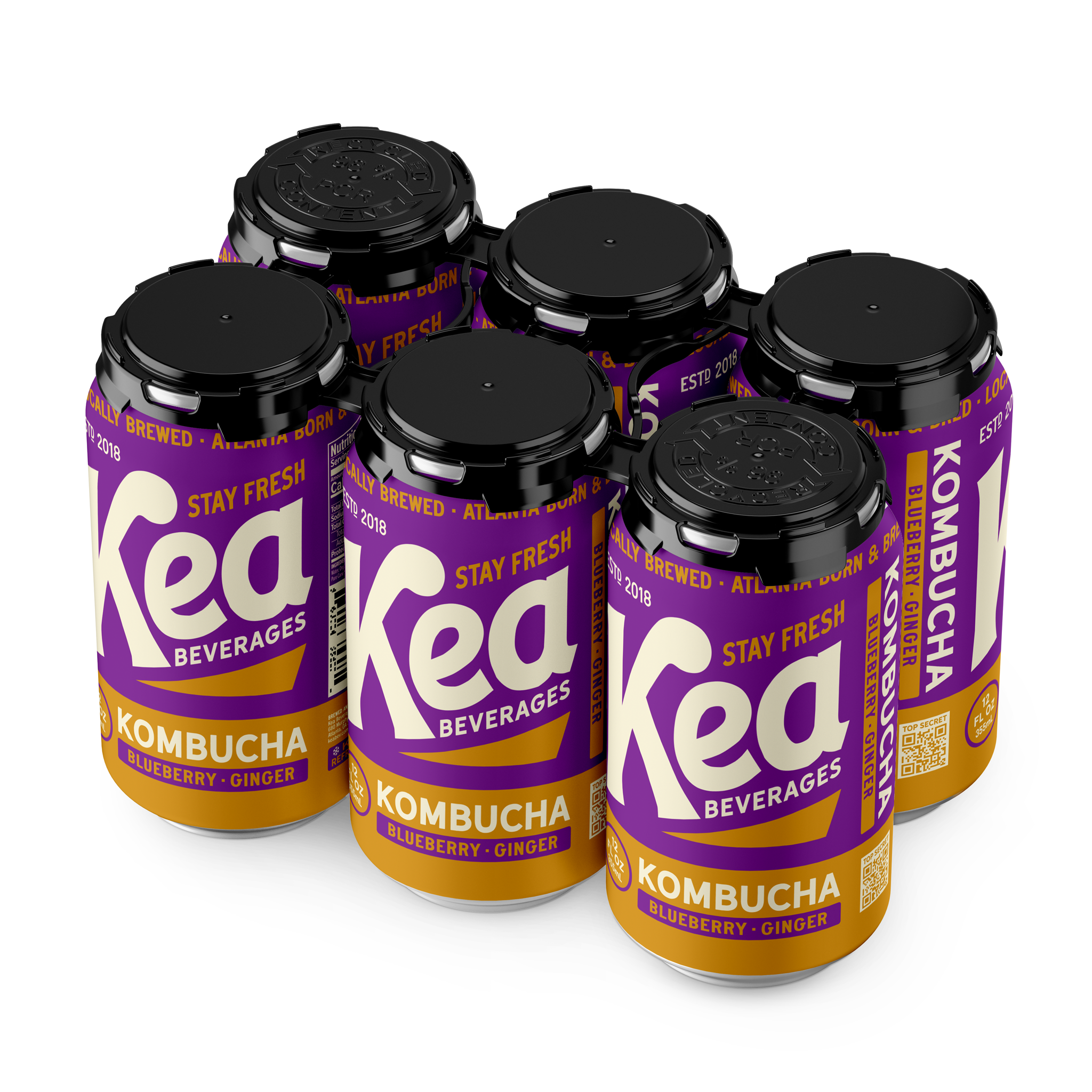 Kea Beverages - Wholesale Kombucha - Blueberry Ginger Kombucha4