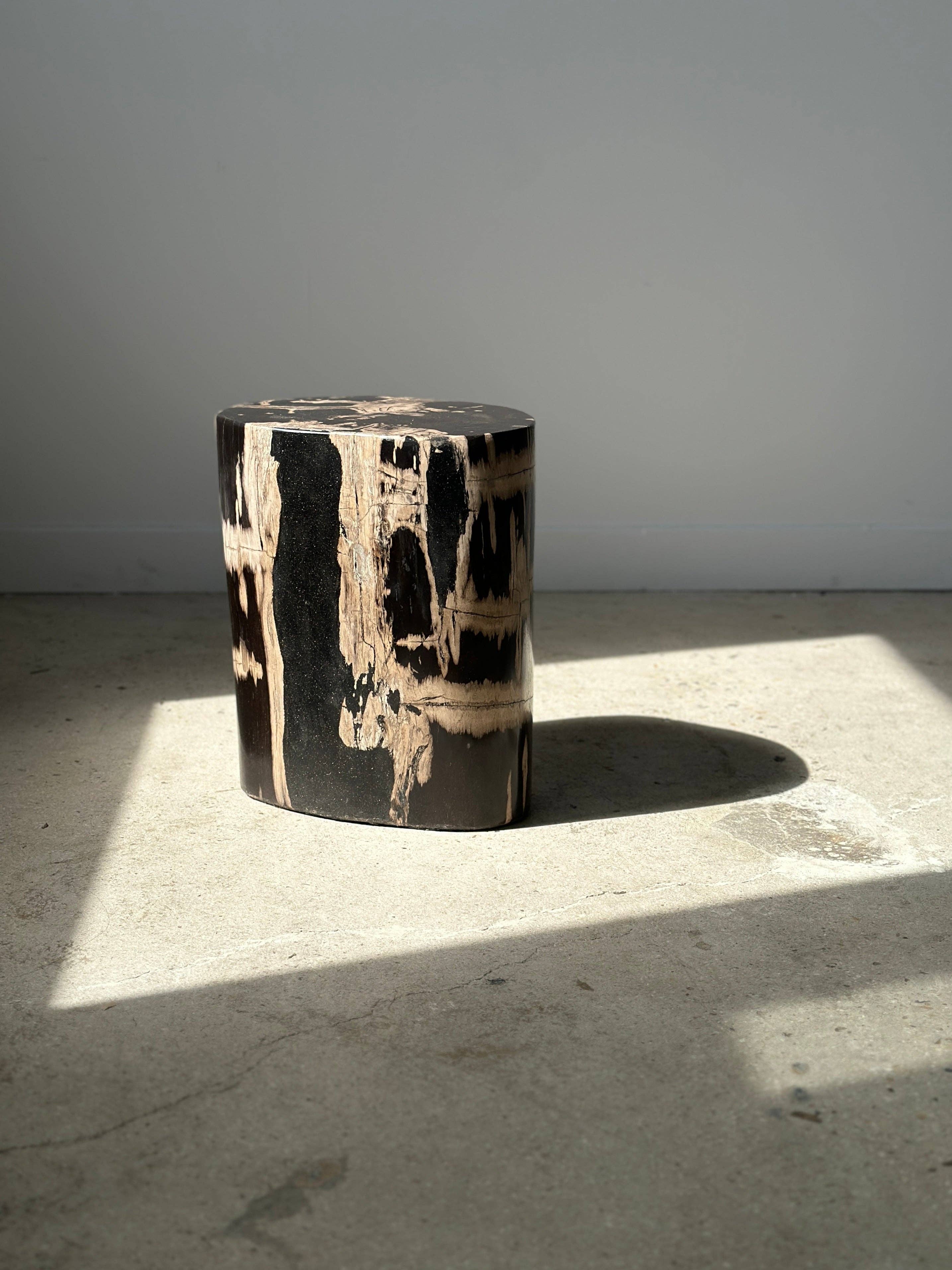 Office Objets - Vente Tables d'appoint - Table d'appoint en bois pétrifié11