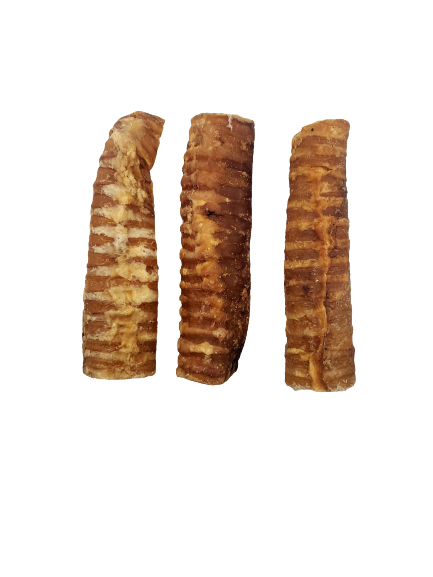 Dibo Pet Foods - Wholesale Pet Treats - Dog - Beef Trachea – 6″7