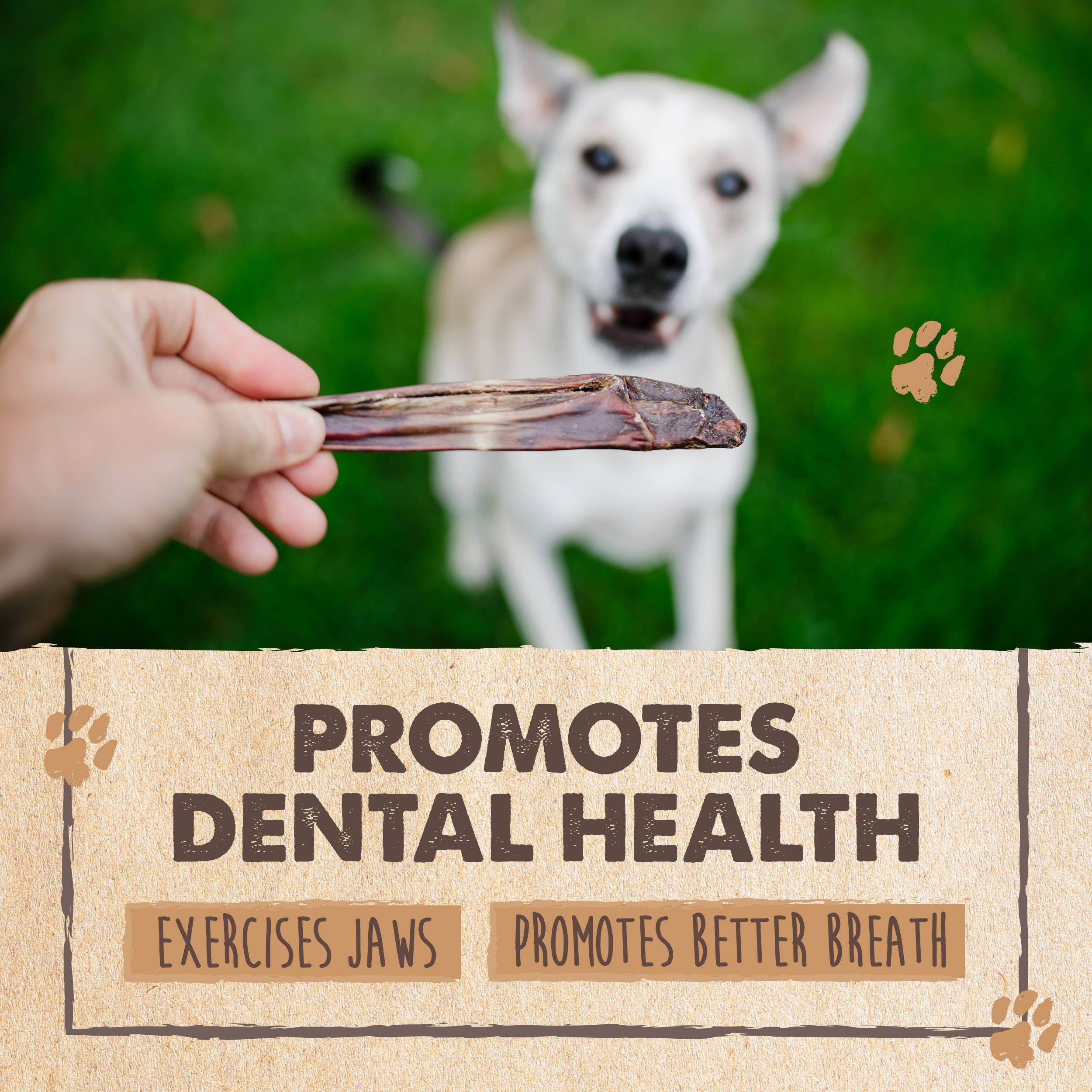 Mighty Paw - Wholesale Pet Treats - Dog - Beef Gullet Chews (6" - 30 Pack)5