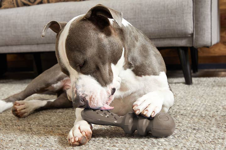 Pet Palette Distribution - Wholesale Pet Plush Toy - Dog - BARK Buck Wild4