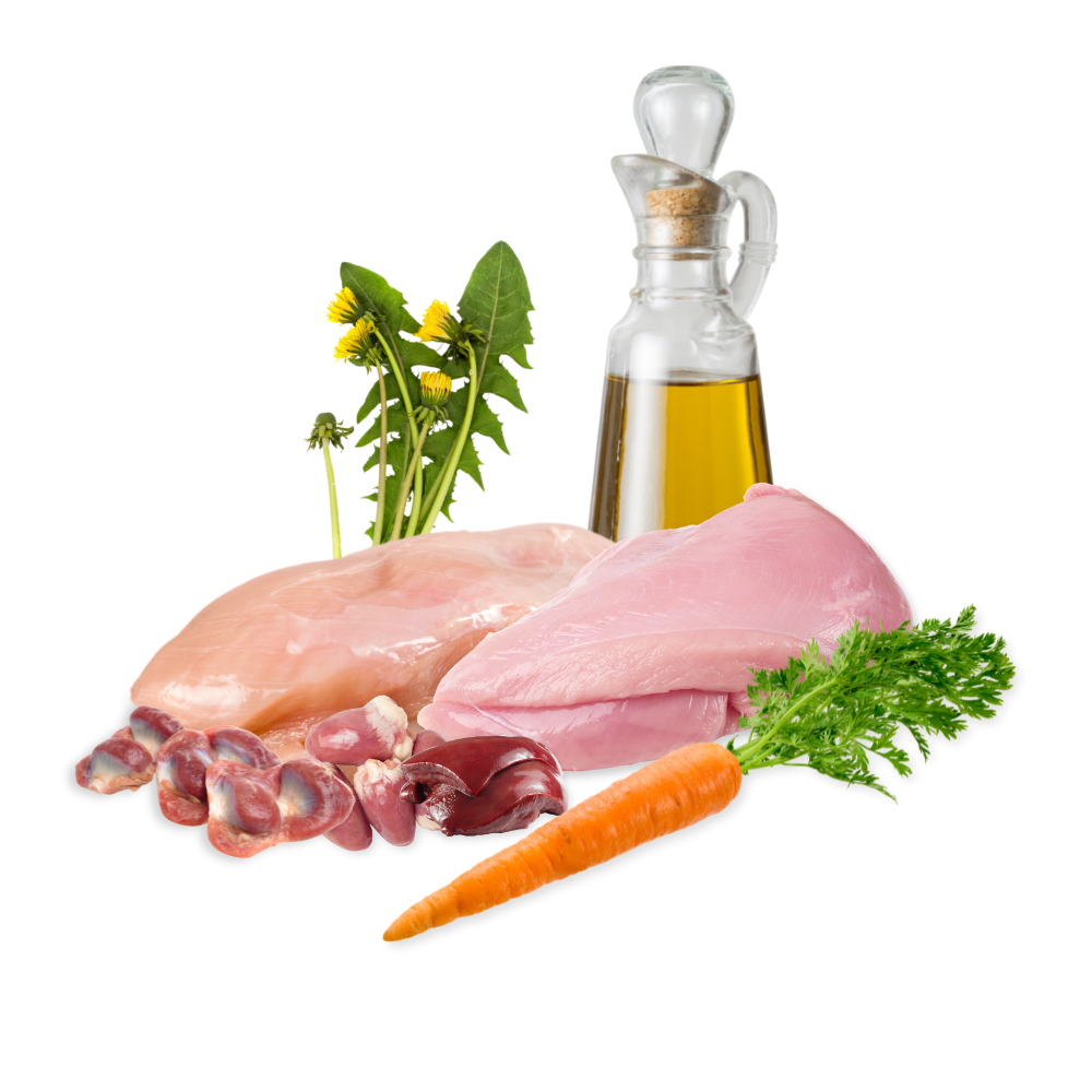 Lucky-Pet Handels- und Produktions GmbH – comida - Cão por atacado – Lucky-Pet Frango com Cenoura e Dente-de-leão2