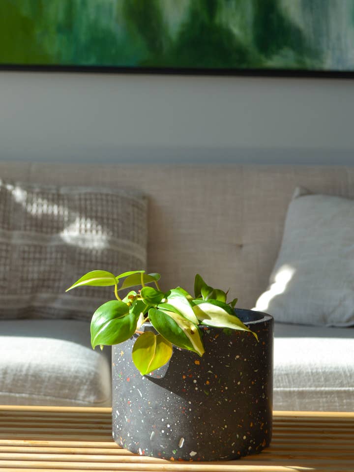 ZERO WASTE Terrazzo Planter for wholesale by LindaMakess