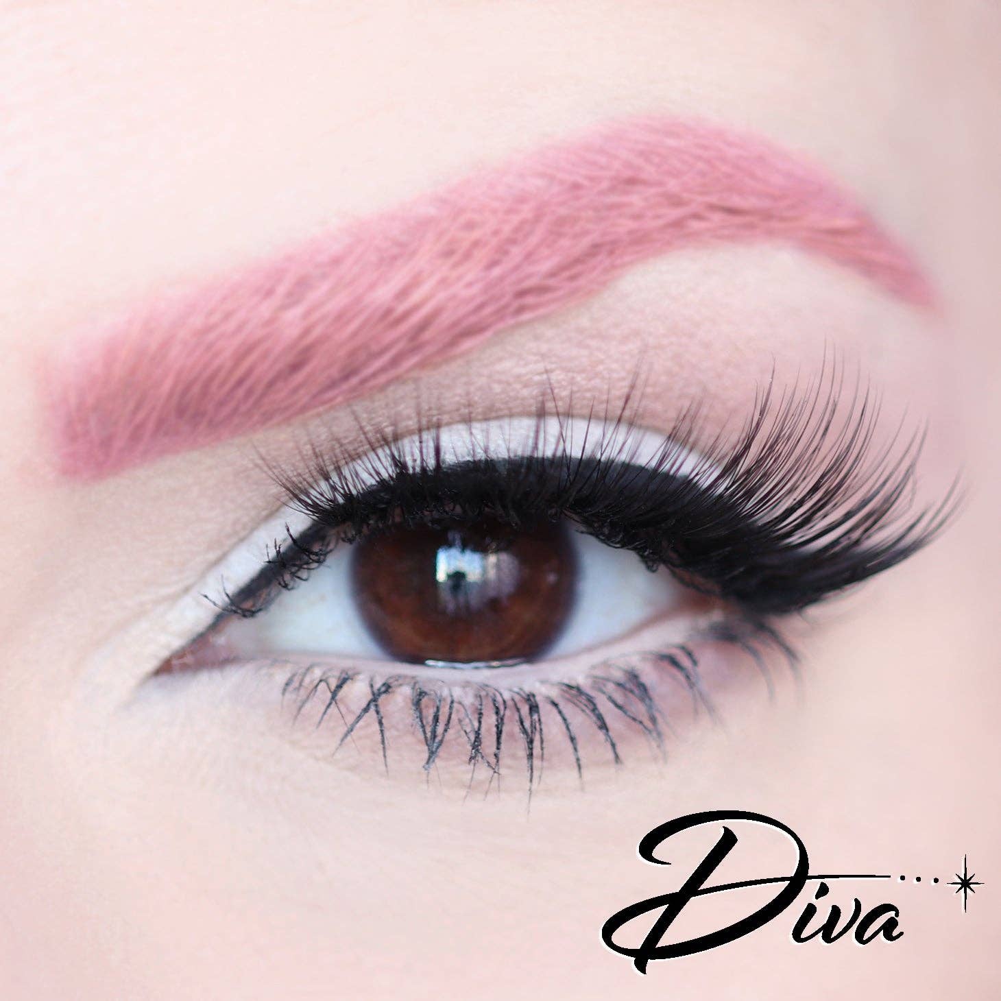 Dafna Beauty – wholesale False/fake eyelashes – D Poodle Collection- Lashes in Compact5