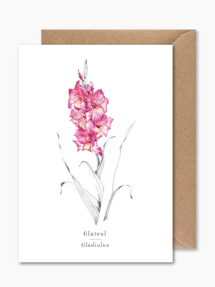 Gladiolus för wholesale av Papier Mirage